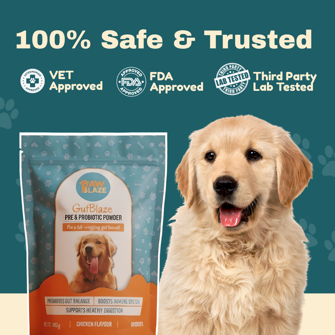 Gutblaze™ – Digestive Support for Dogs