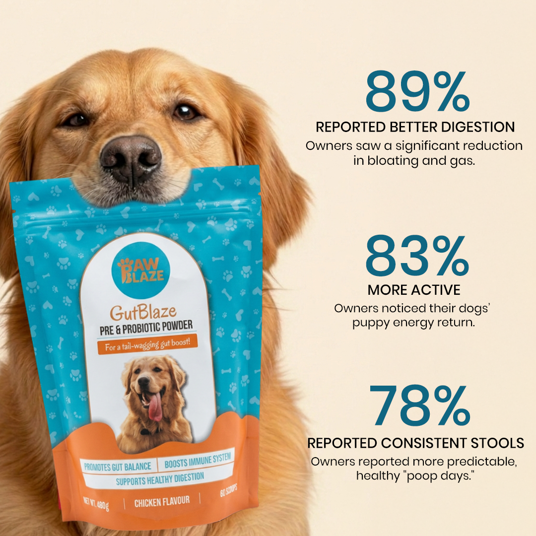 Gutblaze™ – Digestive Support for Dogs