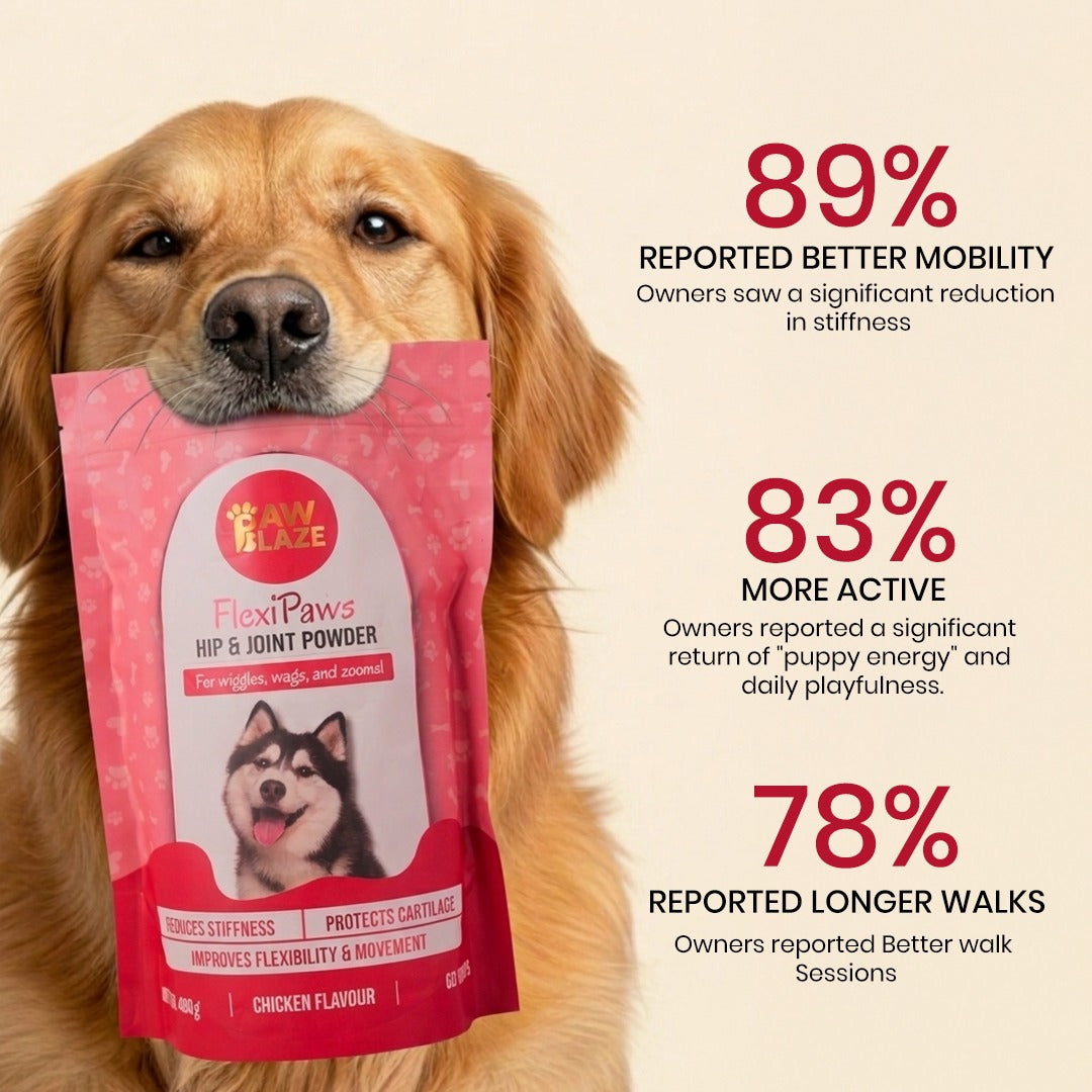 Flexipaws™ – Advanced Joint Care Supplement