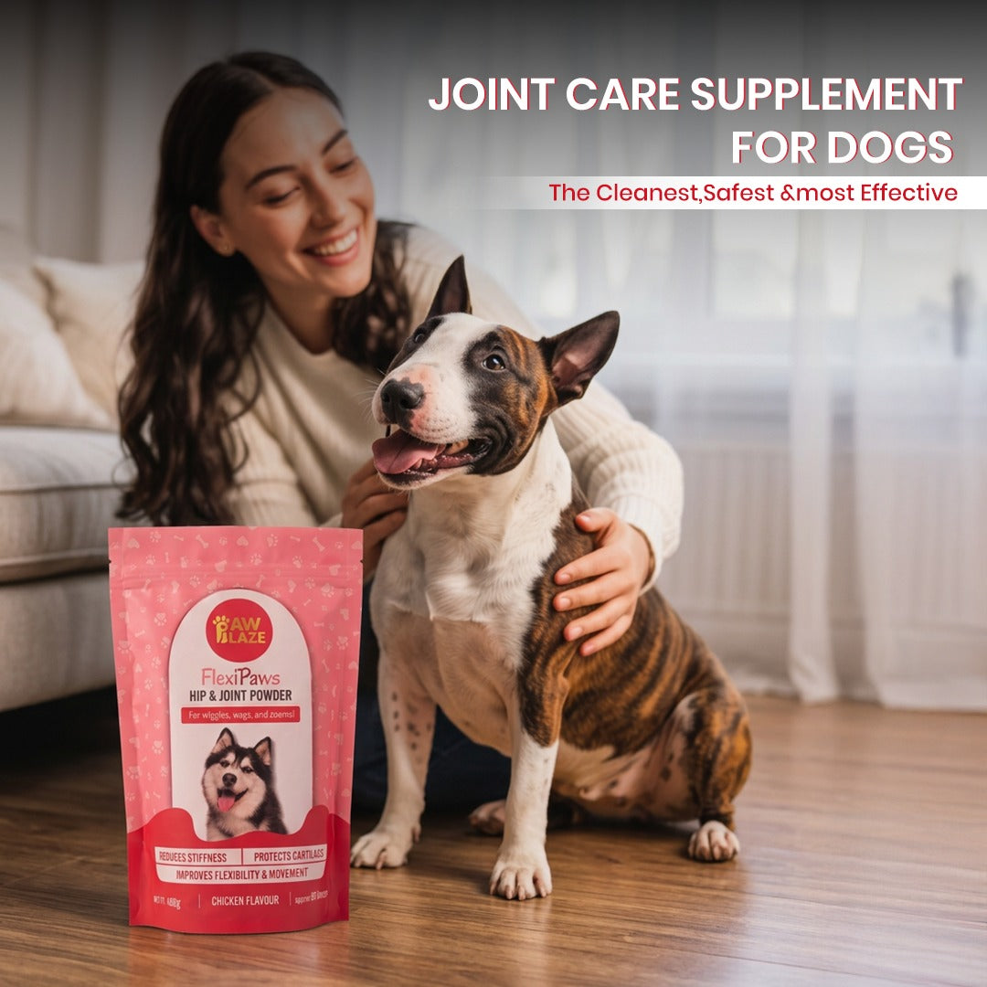 Flexipaws™ – Advanced Joint Care Supplement