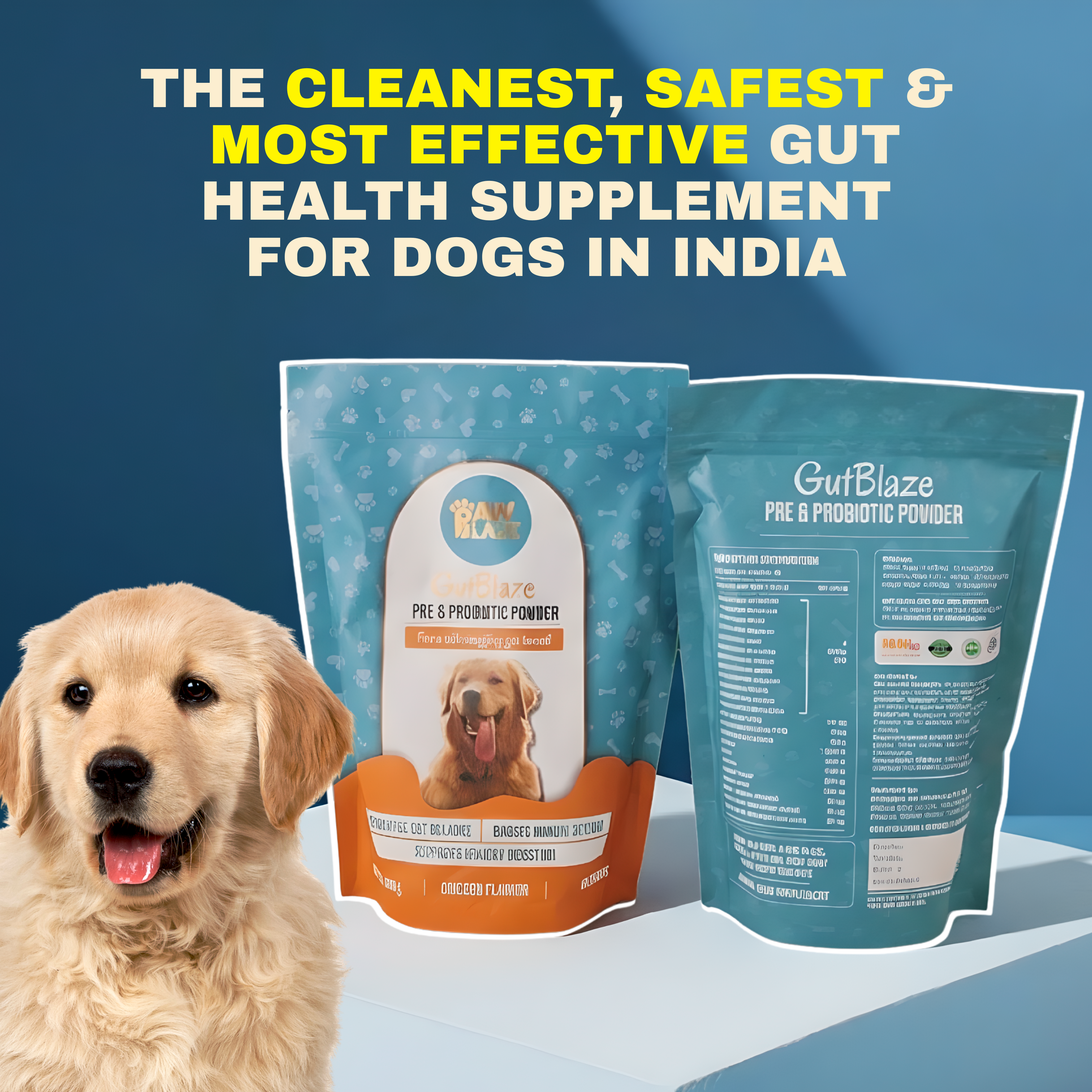 Gutblaze™ – Digestive Support for Dogs